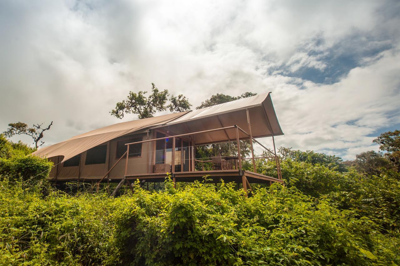 Galapagos Safari Camp Villa GALAPAGOS ISLANDS Dış mekan fotoğraf